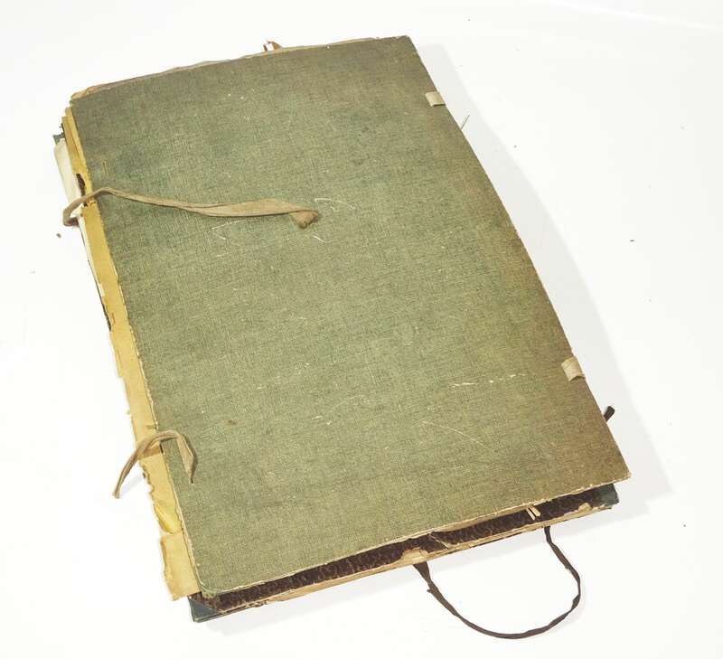 Herbarium um 1890 mit Etiketten Botanik Flora Pflanzen 