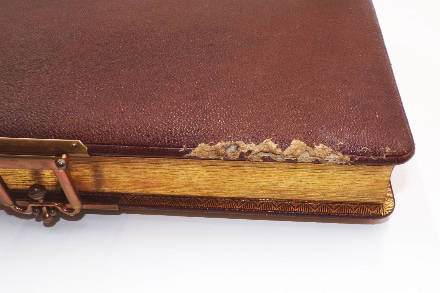 Altes Familien Fotoalbum Stade 1895 Prachteinband
