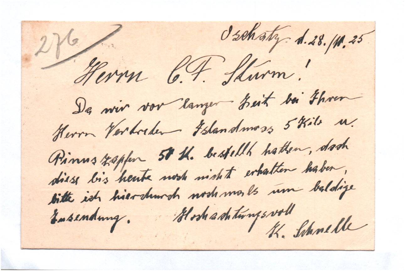 Firmen Postkarte Georg Fischer Gartenbau Betrieb 1925 Oschatz Firmen Postkarte Georg Fischer Gartenbau Betrieb 1925 Oschatz