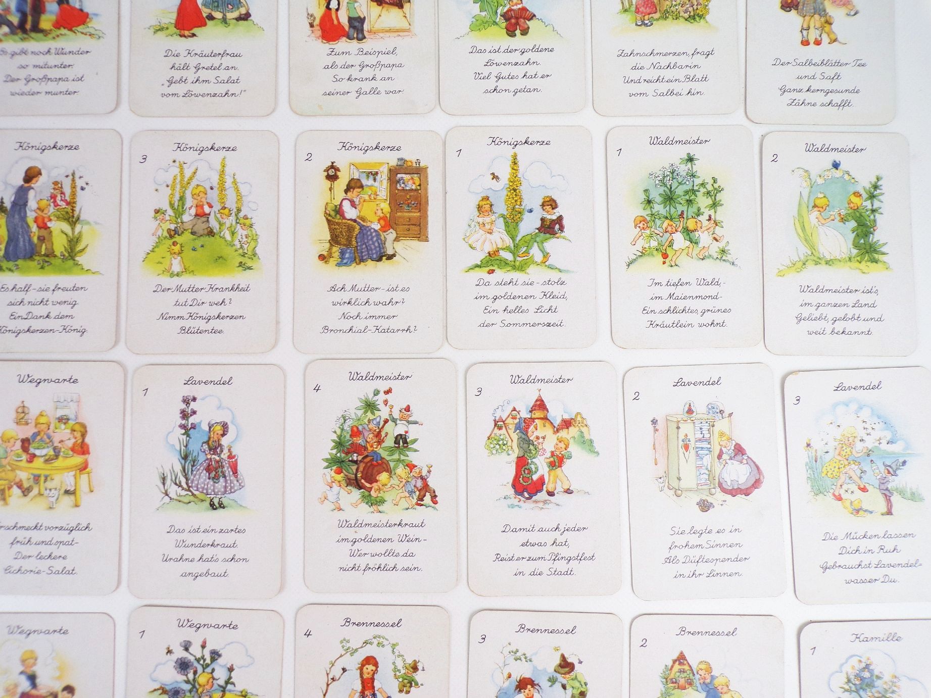 Heilkräuter Quartett Liesel Lauterborn Spielkartenfabrik Altenburg altes Kartenspiel