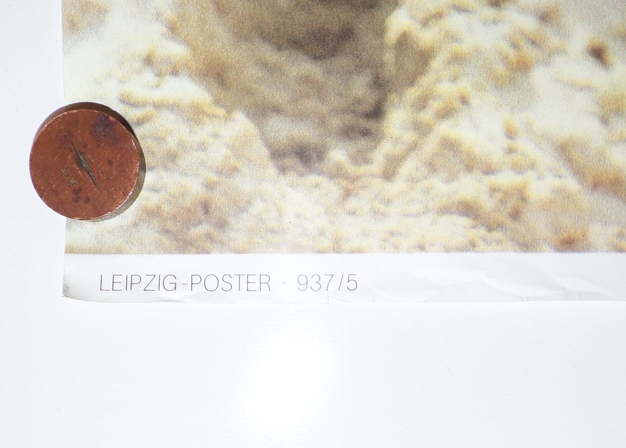 DDR Erotik Plakat nackte Frau Catrin 1970er Jahre Akt Poster