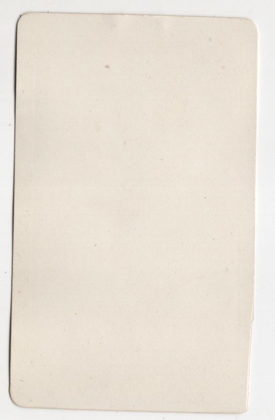CDV Foto Mandelblüte Botanik Pflanze um 1880 koloriert CDV Foto Mandelblüte Botanik Pflanze um 1880 koloriert