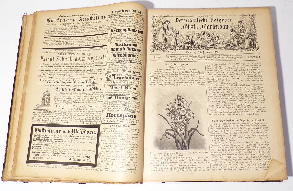 Der praktische Ratgeber im Ost und Gartenbau 1890 