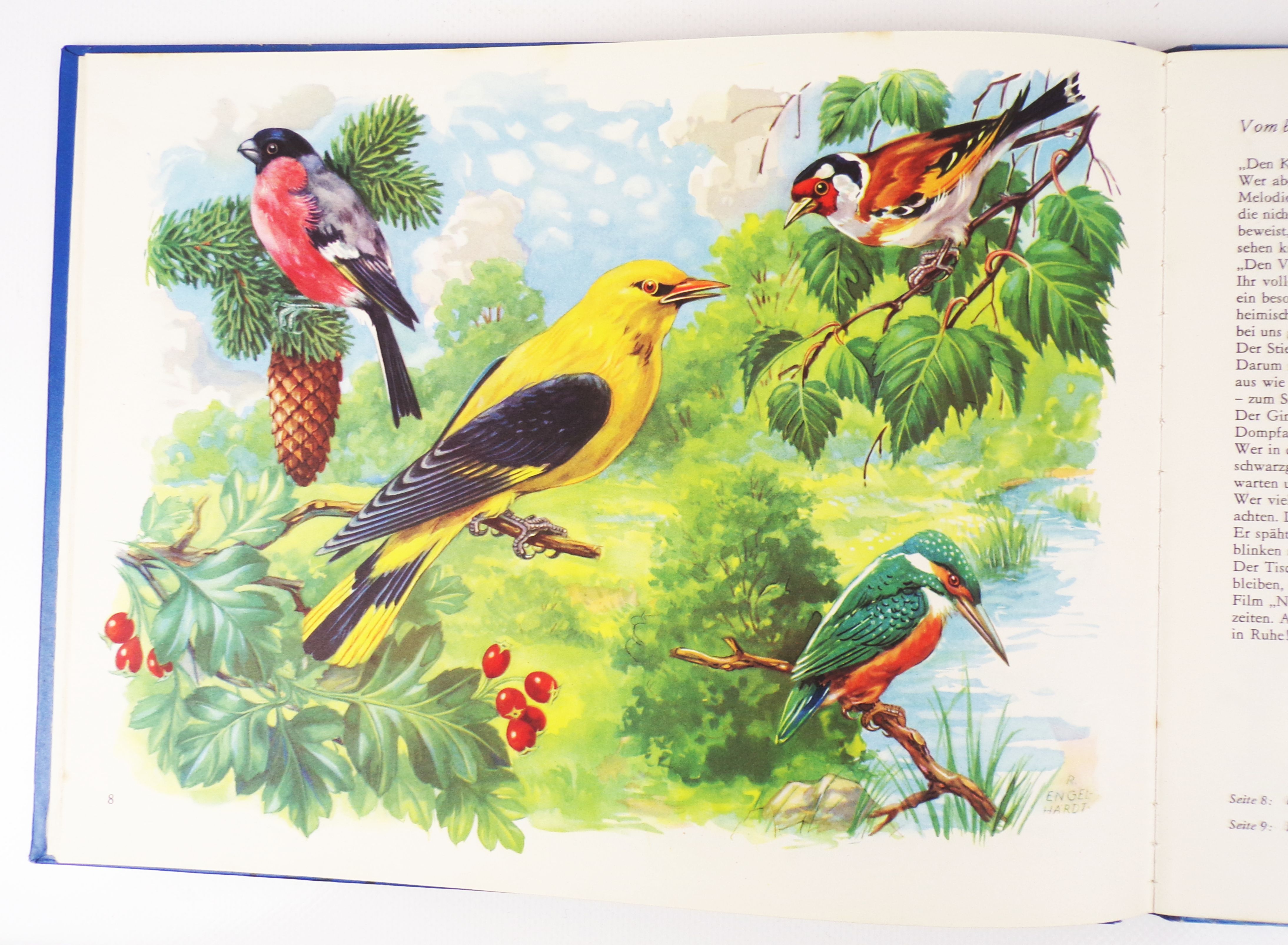 Wunder der Natur Ein Pädagogisches Bildbuch DDR Klassiker Wunder der Natur Ein Pädagogisches Bildbuch DDR Klassiker