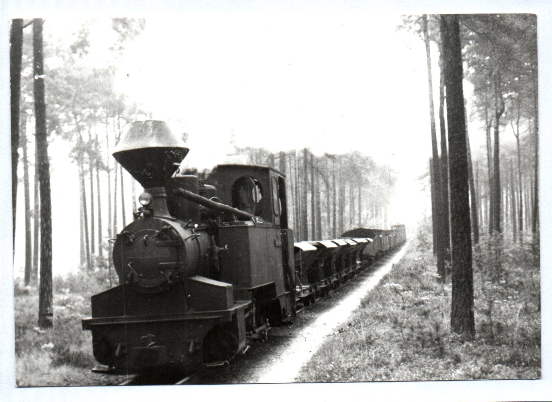 Waldeisenbahn Muskau 1977 Dampflok 99 3312 altes Foto