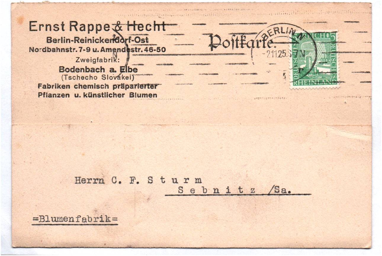 Postkarte Ernst Rappe und Hecht Berlin Reinickendorf Ost 1925 Pflanzen Präparate Postkarte Ernst Rappe und Hecht Berlin Reinickendorf Ost 1925 Pflanzen Präparate