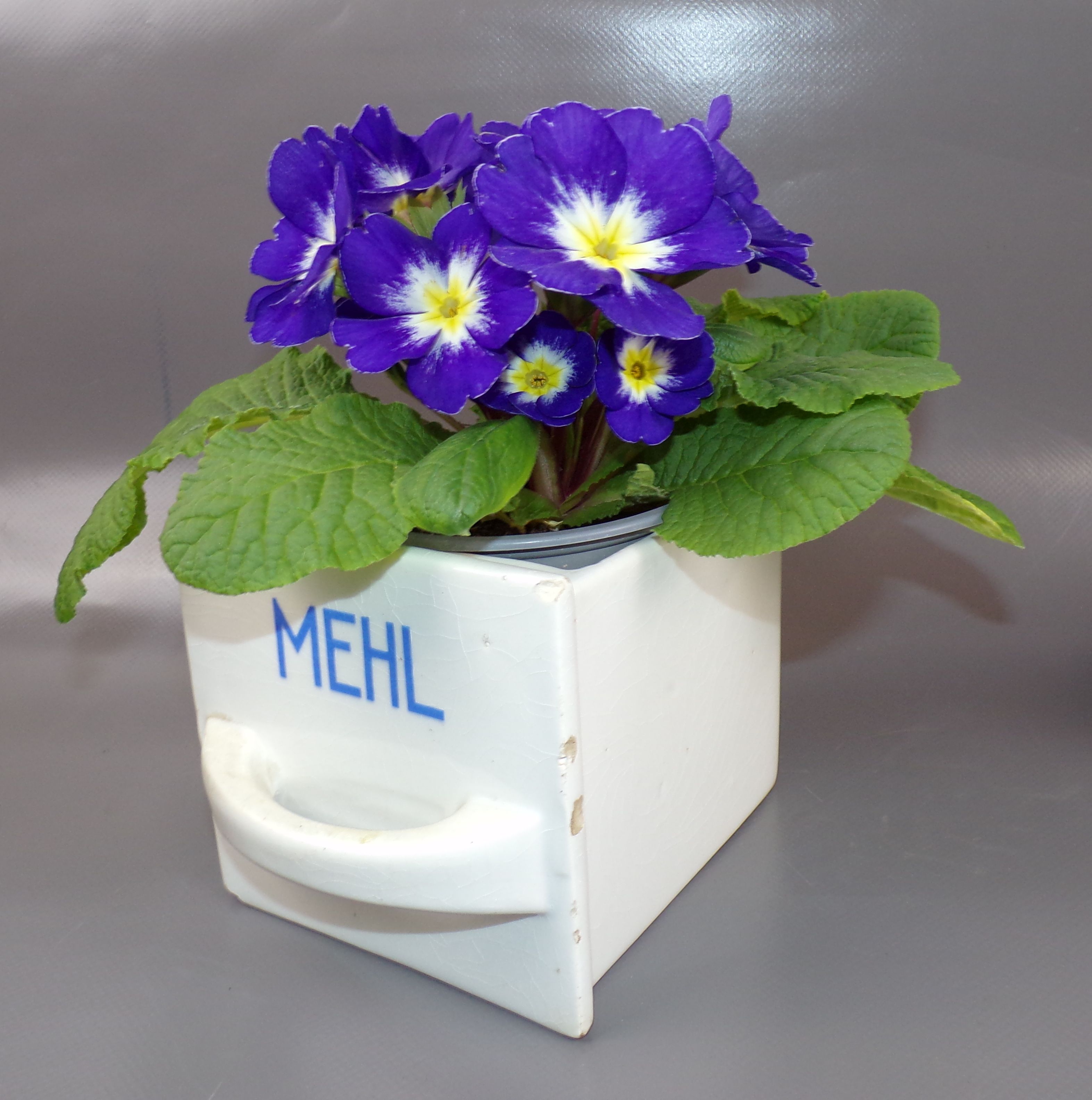 Alte Schütten Zimmt Muskat Mehl Nelken Steingut Küche Vorratsgefäß Deko Alte Schütten Zimmt Muskat Mehl Nelken Steingut Küche Vorratsgefäß Deko