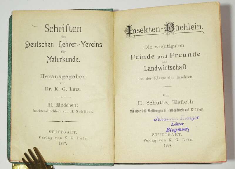 Insekten Büchlein Schütte Elsfleth 1897 Entomologie