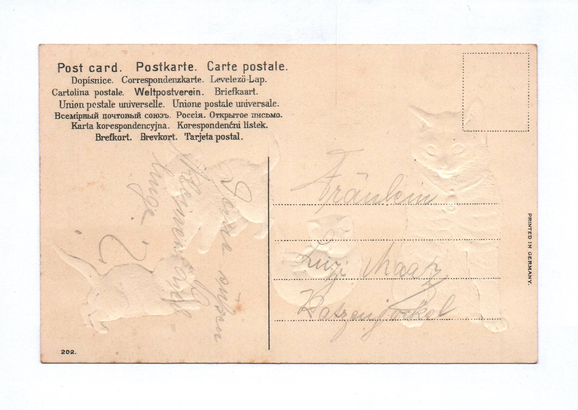 Künstler Ak junge Katzen beim Spielen