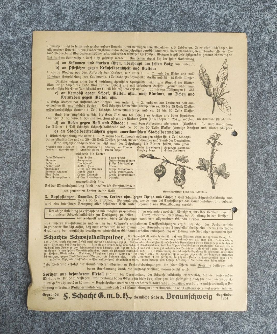 Prospekt Schachts Schwefelkalkbrühe Anleitung für den Gebrauch Prospekt Schachts Schwefelkalkbrühe Anleitung für den Gebrauch
