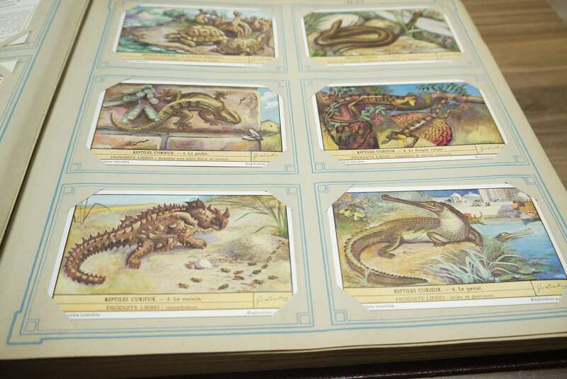 Liebig Chromo Album Sammelbilderalbum ca 52 Seiten 312 Karten Sammelbilder