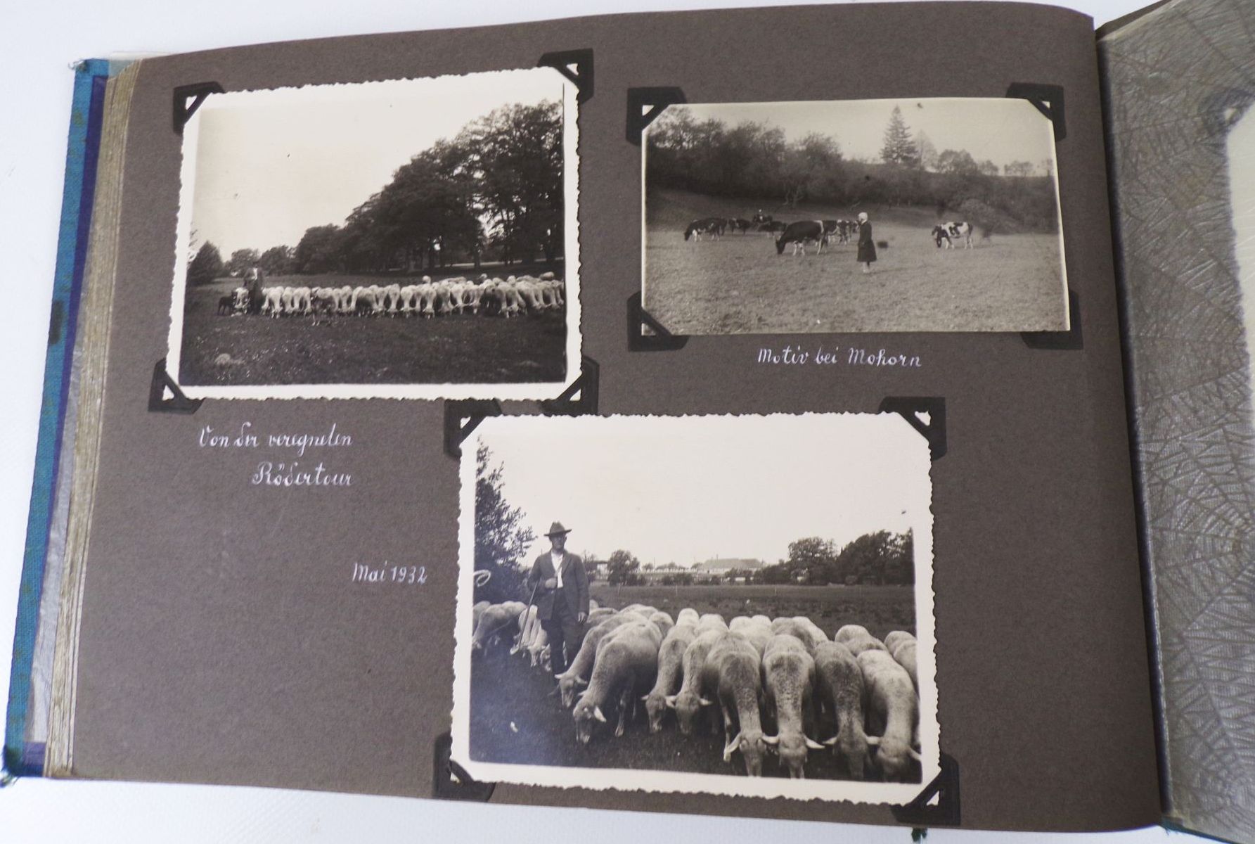 Fotoalbum Sachsen Böhmen Kaa Hinterhermsdorf Sächsische Schweiz Fotoalbum Sachsen Böhmen Kaa Hinterhermsdorf Sächsische Schweiz