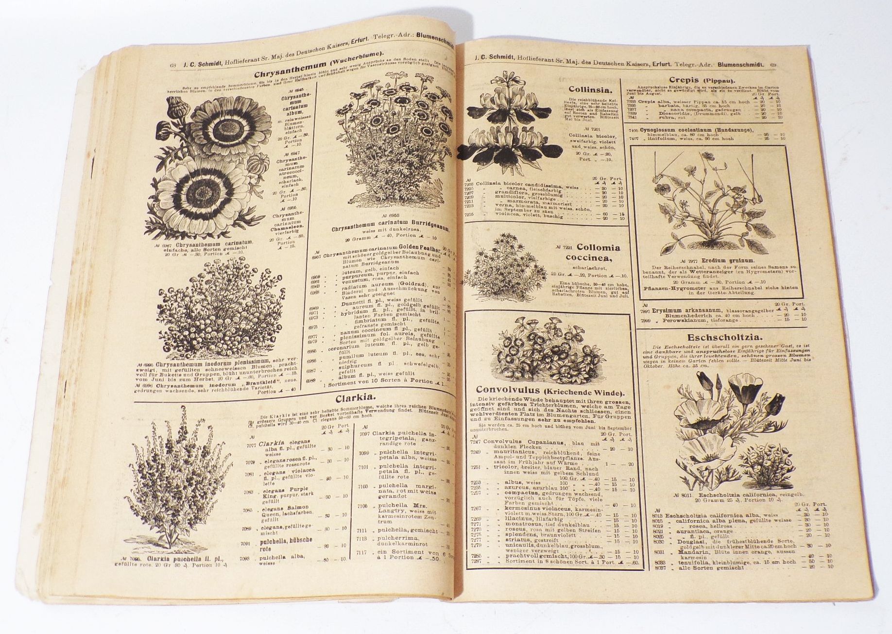 Katalog Schmidt Erfurt 1908 Preisbuch Blumen Gemüse Zimmerpflanzen Saatgut