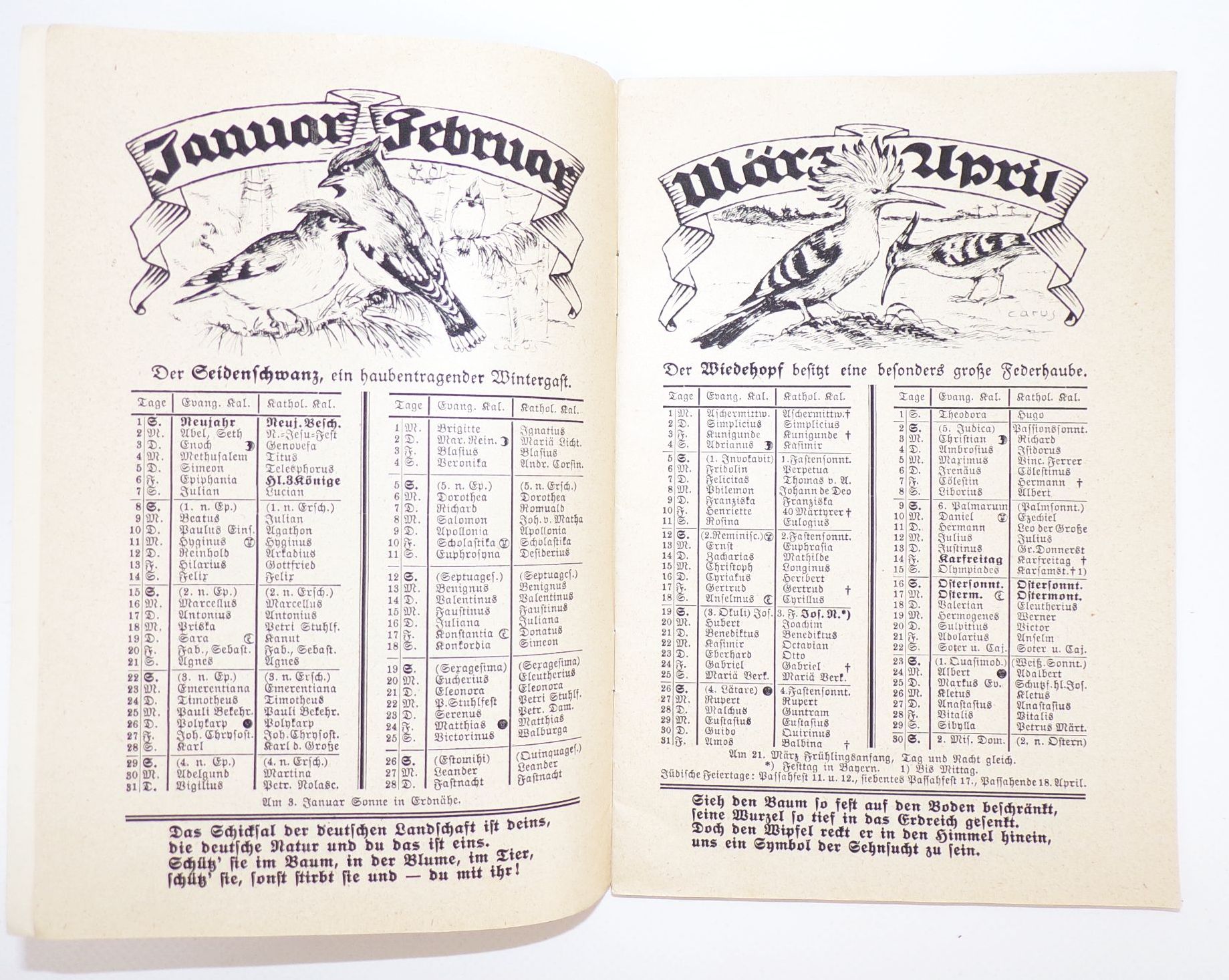 Tierschutz Kalender 1933 