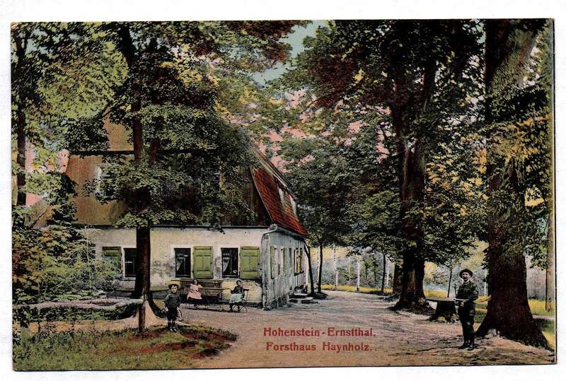Ak Hohnstein Ernstthal Forsthaus Haynholz 1908