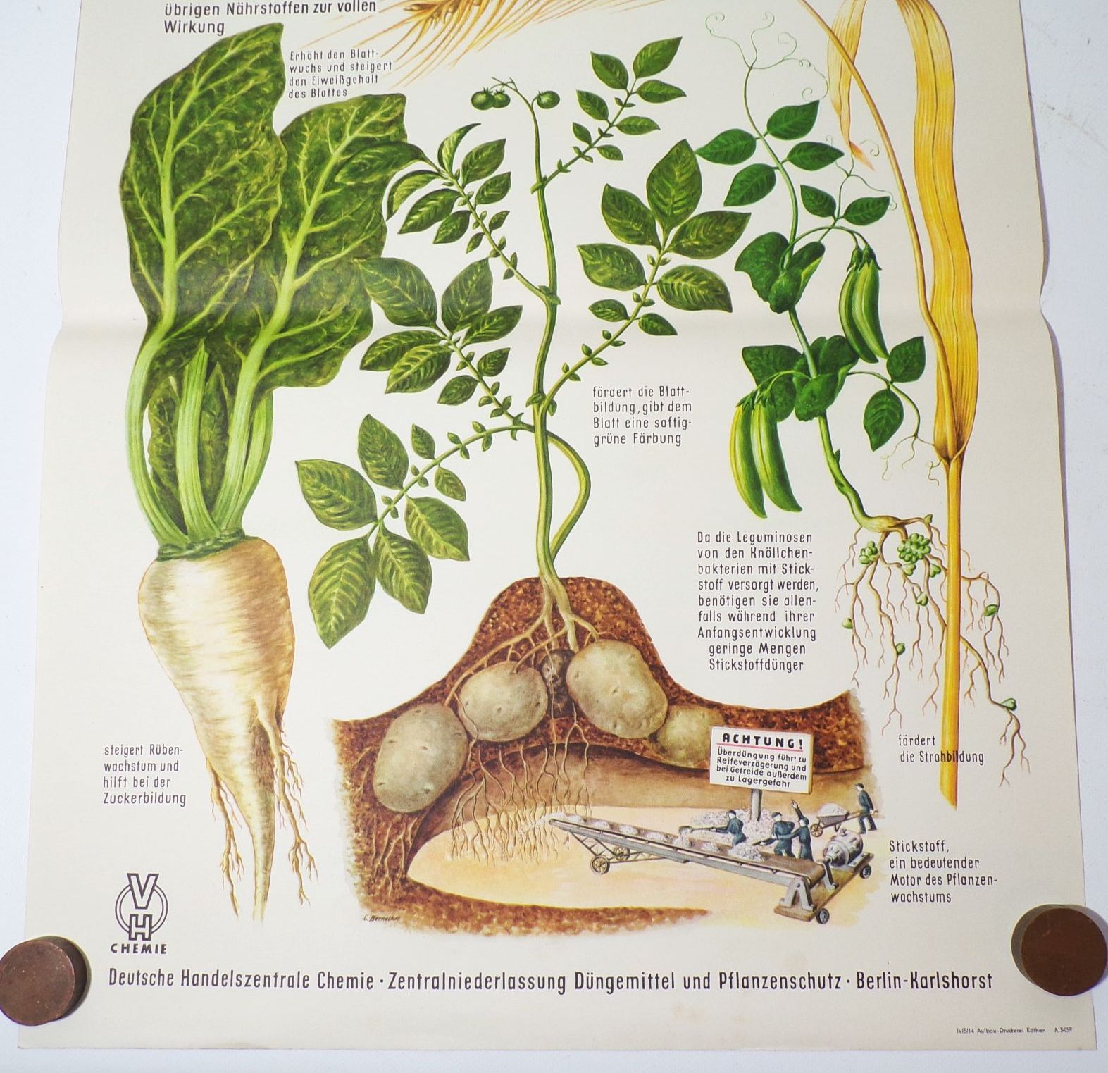 DDR Plakat Dünger Stickstoff Landwirtschaft Bauer LPG 1959 Reklame Sammler