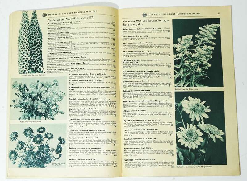 Katalog Deutsche Saatgut Handelsbetriebe DDR Blumenzwiebeln Gemüse Sämereien 1957