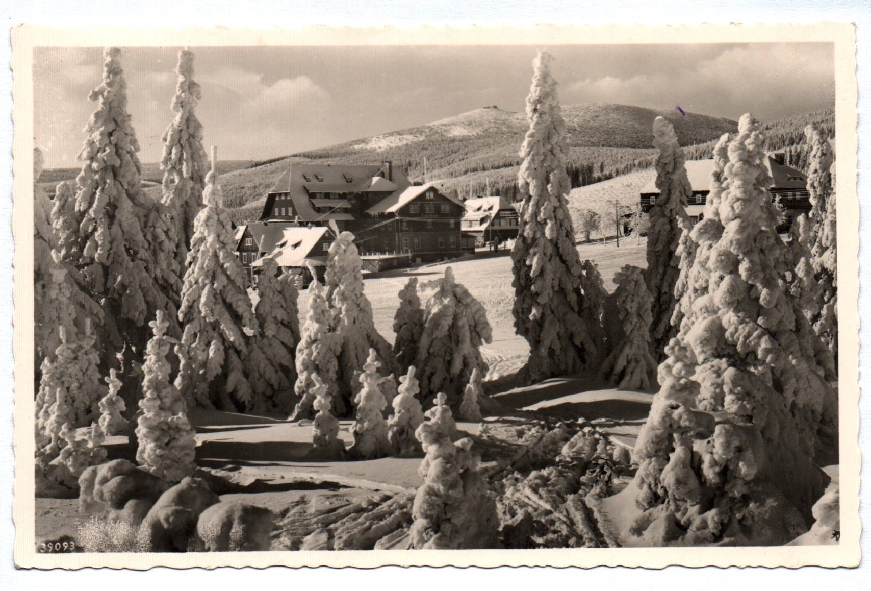 Foto Ak Riesengebirge Grenzbauden Tippeltbaude 1939
