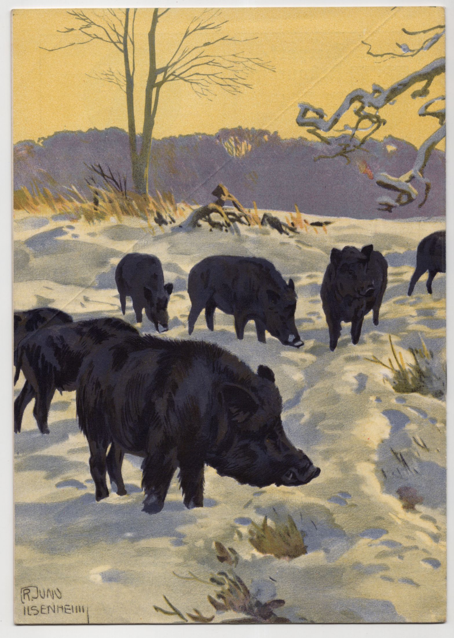 Tierpark Zeitung Hellbrunn München Franz Jung Ilsenheim Dezember 1935 Zoo Tierpark Zeitung Hellbrunn München Franz Jung Ilsenheim Dezember 1935 Zoo