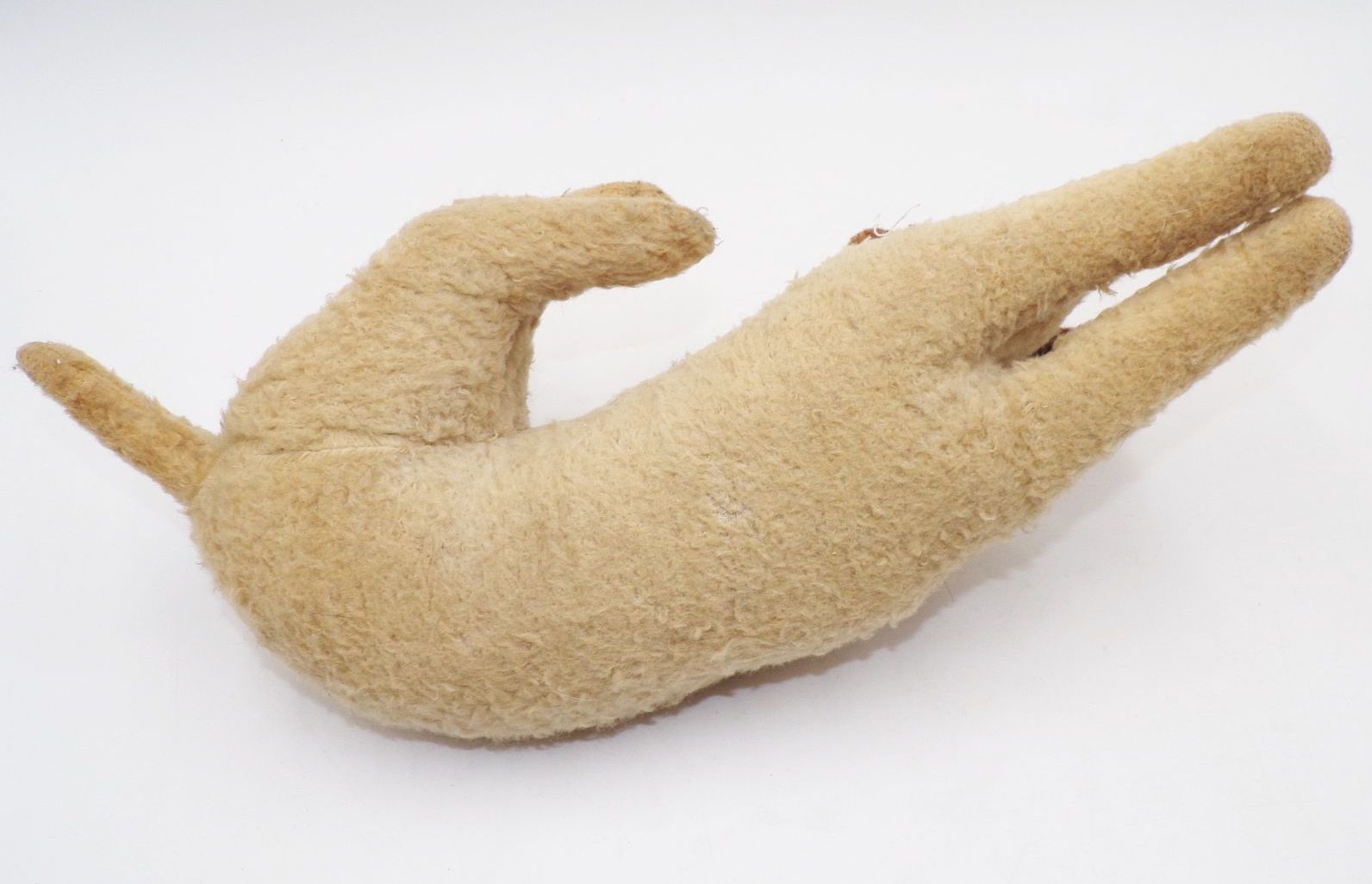 Alter Foxterrier Holzwolle Antik mit Glasauge Alter Foxterrier Holzwolle Antik mit Glasauge