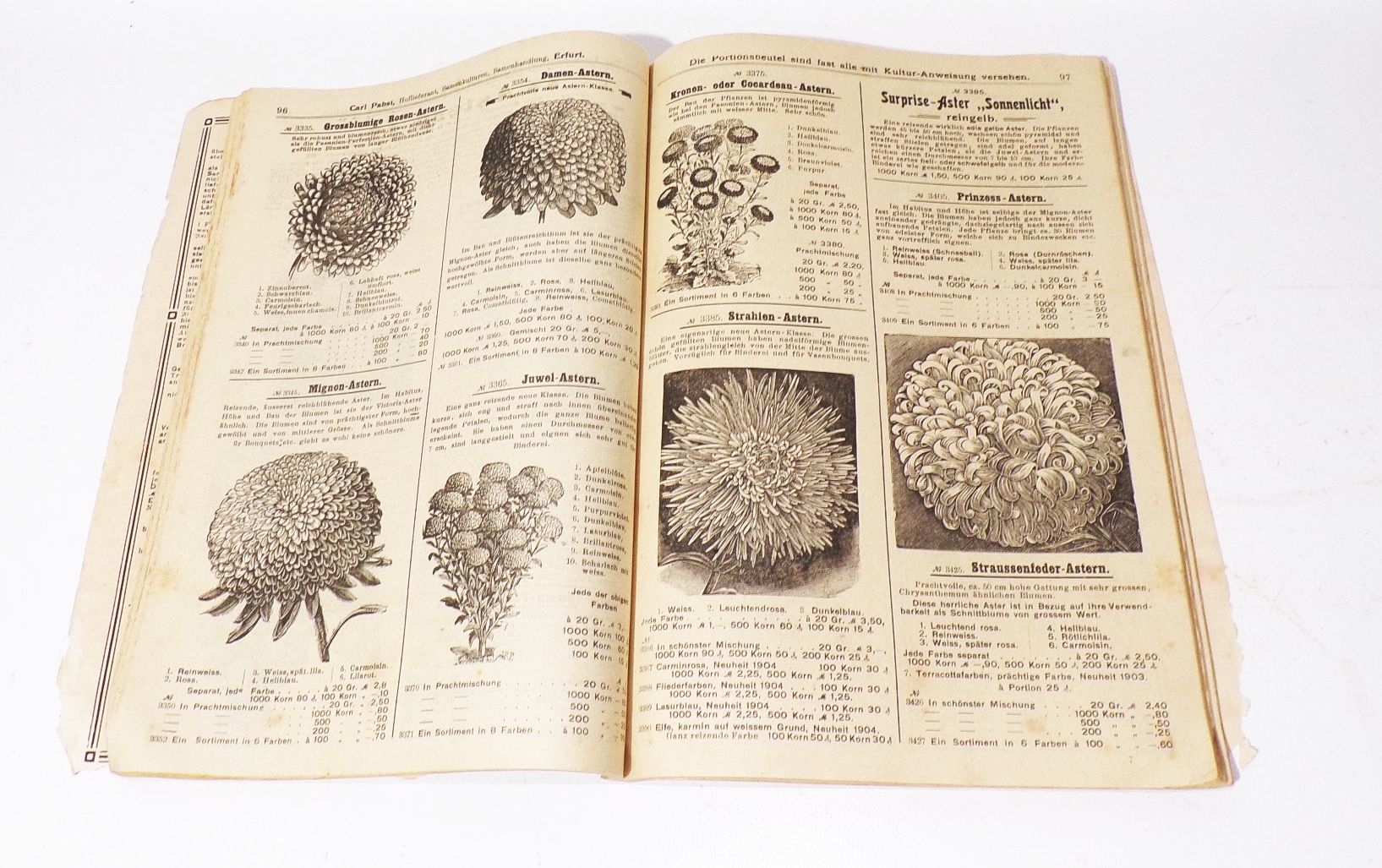 Katalog Carl Pabst Erfurt Blumen Gemüse Saatgut 1905 