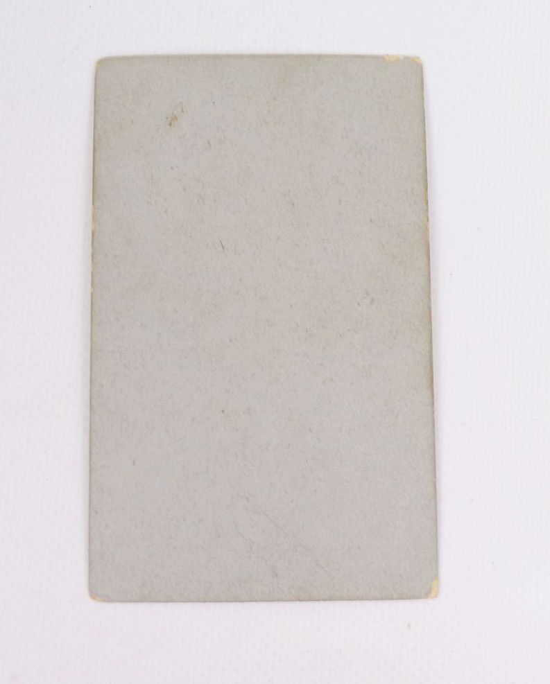 Tier Quartett Spear und Söhne Nürnberg Kartenspiel um 1910