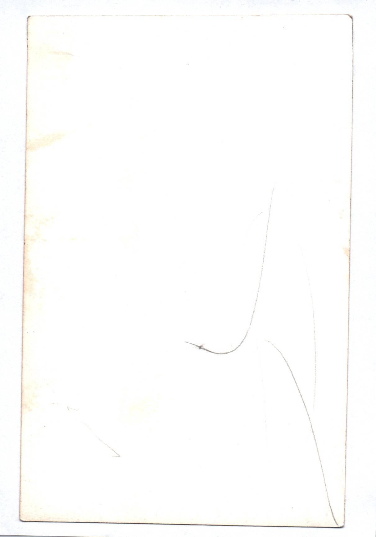 Ak Margot Hielscher Salto mortale Kolibri Verlag Ak Margot Hielscher Salto mortale Kolibri Verlag