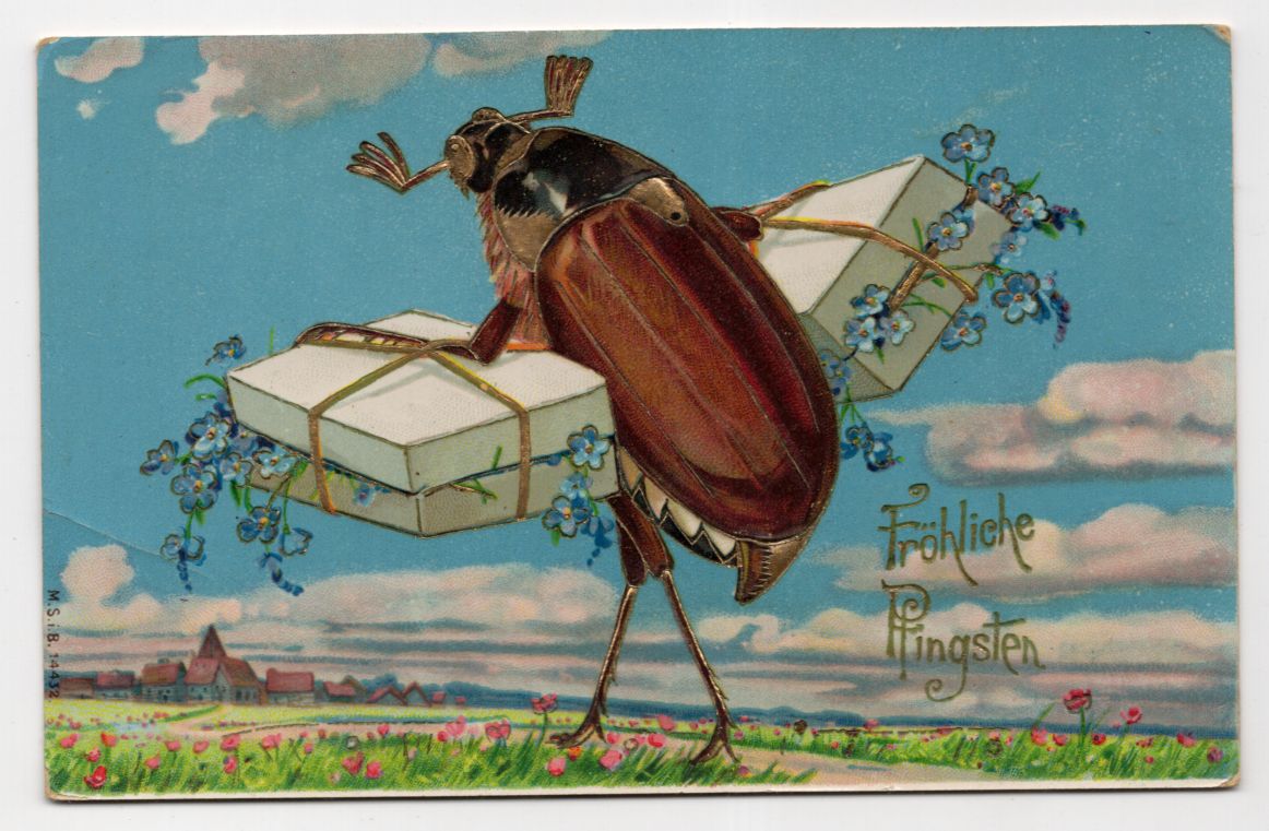 Ak Maikäfer mit Paketen Fröhliche Pfingsten um 1900