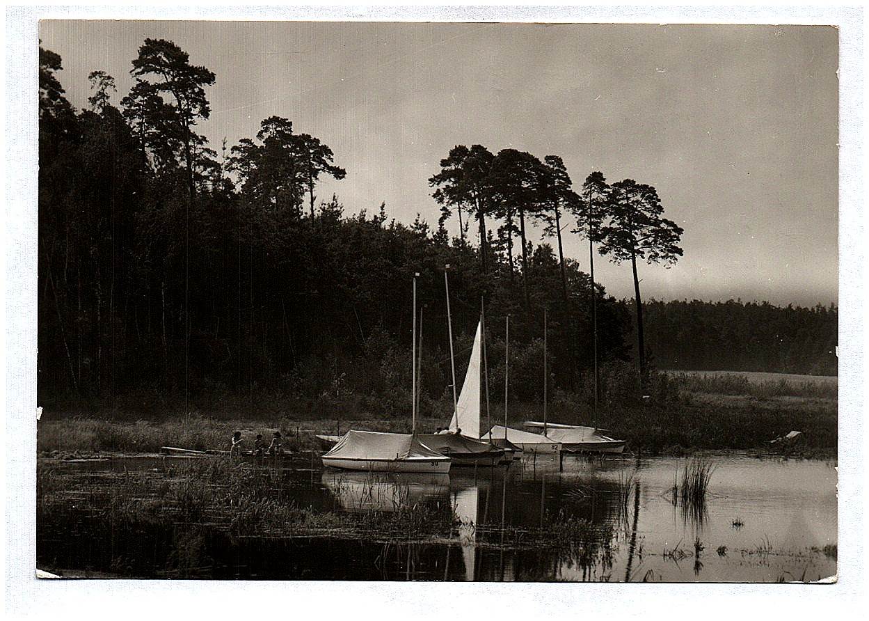 Foto Ak Stausee Quitzdorf Kreis Niesky Am Säuberg DDR 1988 Foto Ak Stausee Quitzdorf Kreis Niesky Am Säuberg DDR 1988