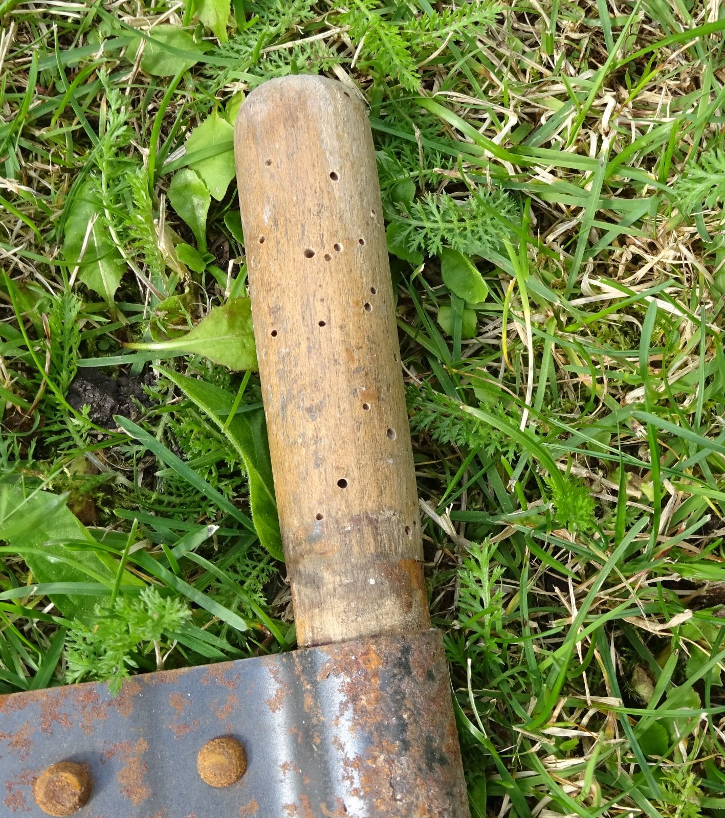 Alte Schrotsäge 129 cm Holzsäge Hochzeitsäge Zweimannsäge Hochzeit Alte Schrotsäge 129 cm Holzsäge Hochzeitsäge Zweimannsäge Hochzeit