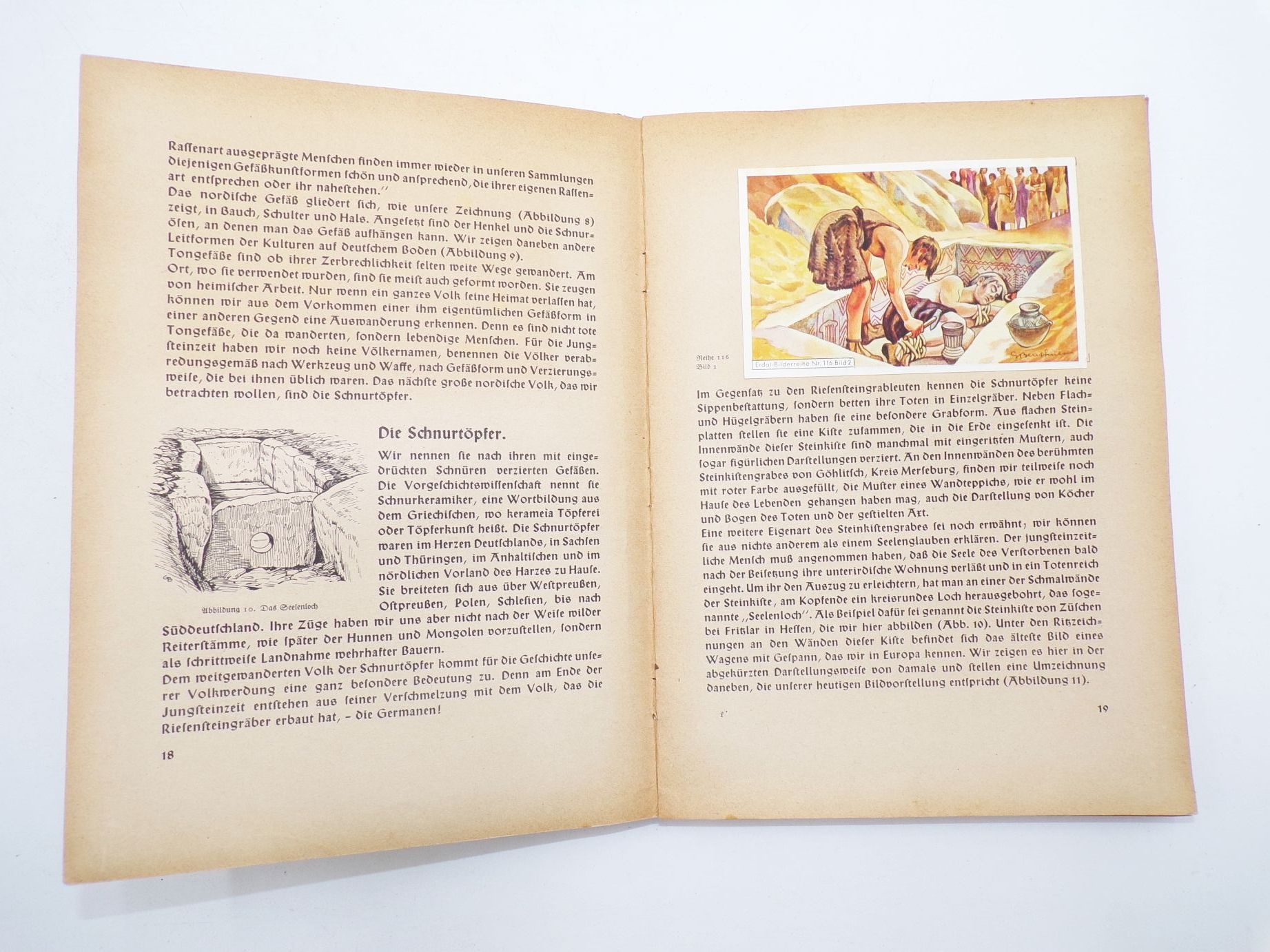 Aus Deutschlands Vorzeit Ein Erdal Bilderbuch 1937 Sammelbilderalbum Aus Deutschlands Vorzeit Ein Erdal Bilderbuch 1937 Sammelbilderalbum