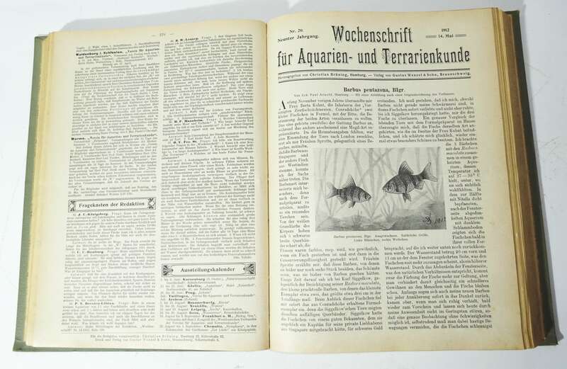 Wochenschrift für Aquarien - und Terrarienkunde 1912 kompl. Jahrgang (B3