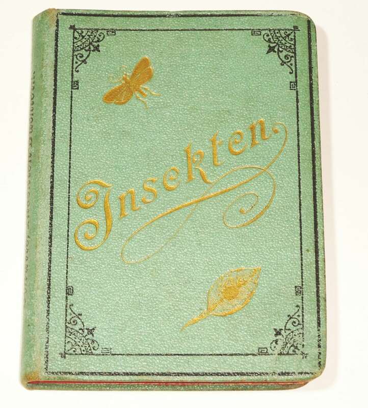 Insekten Büchlein Schütte Elsfleth 1897 Entomologie