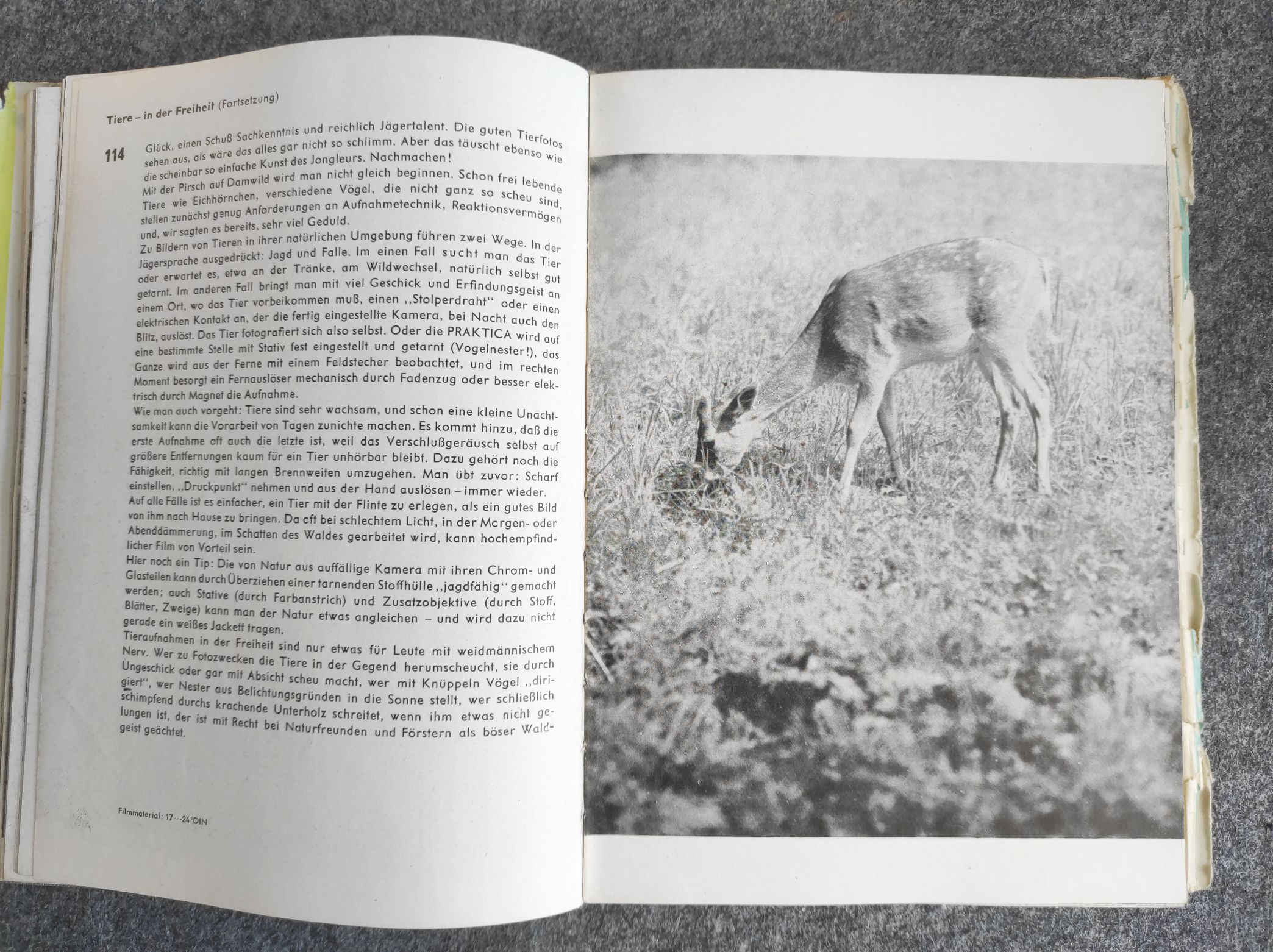 Rofer Rössing Fotografie mit der Praktica 1959 Rofer Rössing Fotografie mit der Praktica 1959