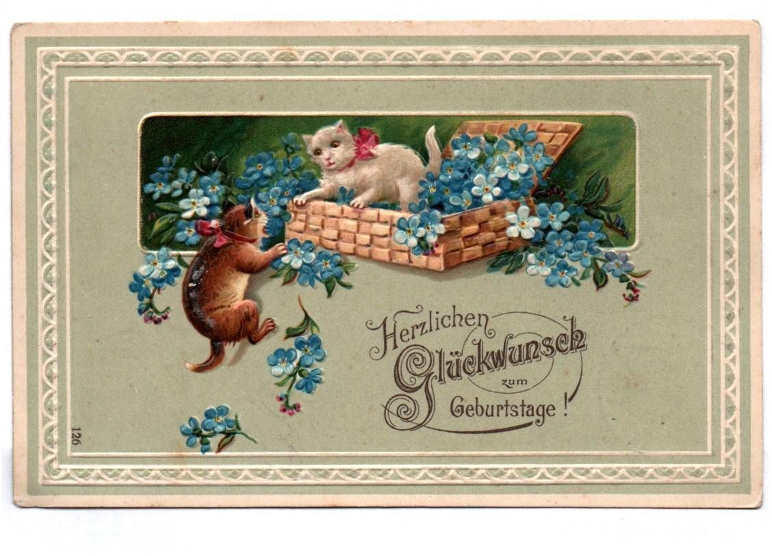 Präge Ak Katzen mit Vergissmeinnicht Blumen Geburtstag 1909