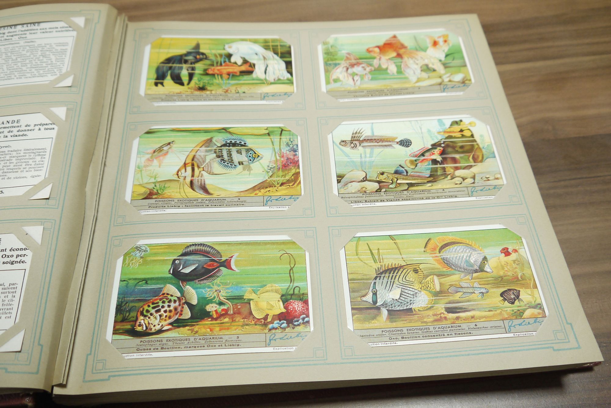 Sammelbilder Album Liebig ca 50 Seiten 300 Bilder Chromo