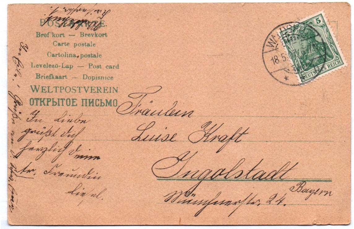 Litho Ak Fröhliche Pfingsten Schmetterlinge Hagebutte 1907 