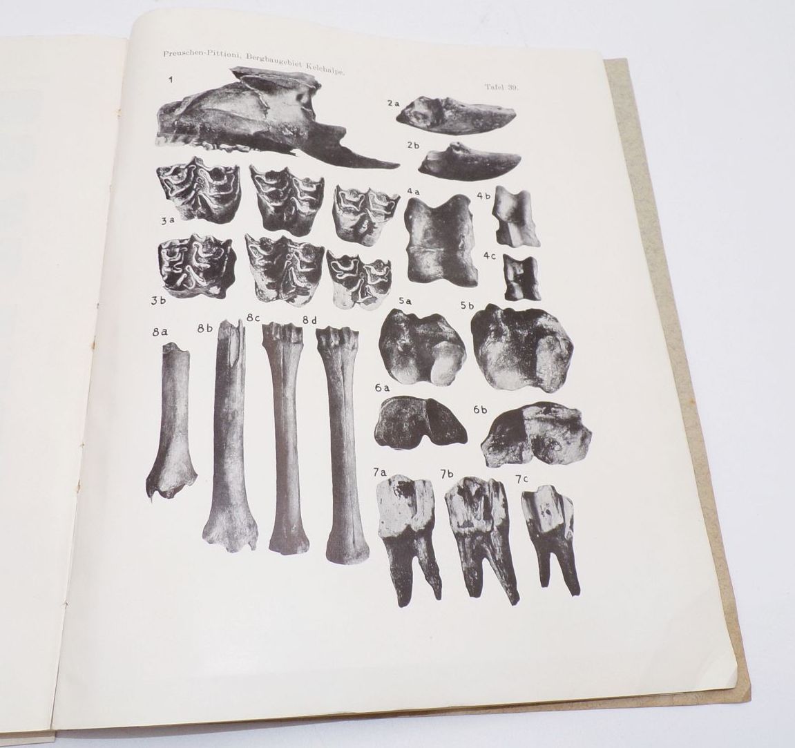 Mitteilungen des prähistorischen Kommission der Akademie der Wissenschaften 