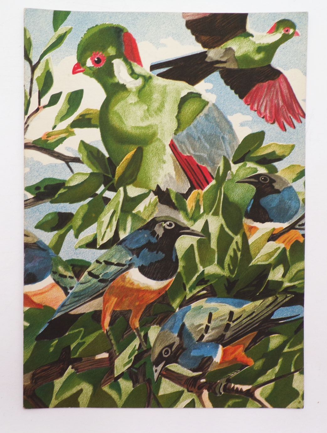 Alte Tierpark Zeitung München Juli 1938 Michael Mathias Kiefer Cover