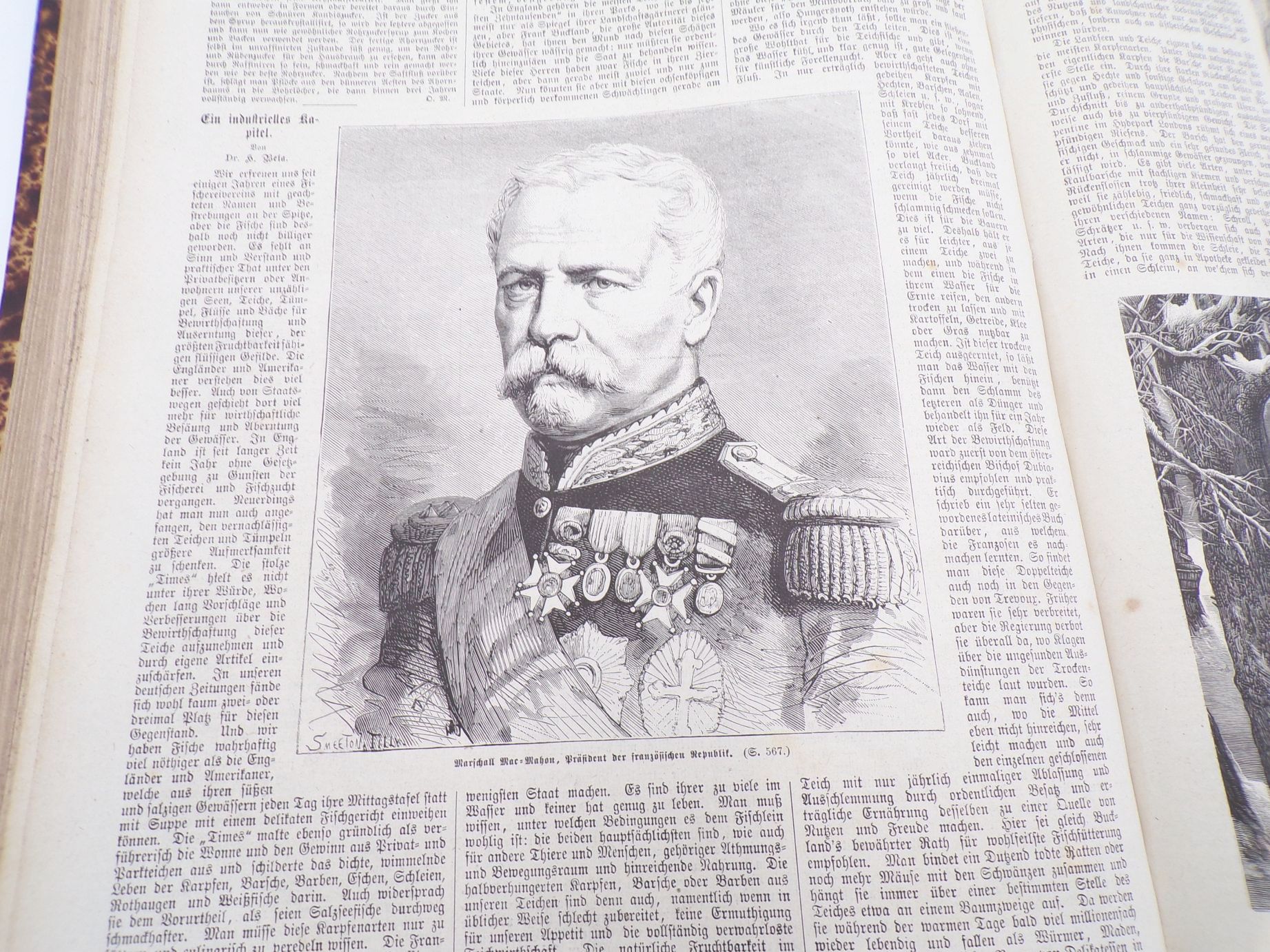 Allgemeine Familien Zeitung 1873 Jahrgang illustriert 