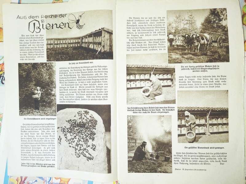 Konvolut Der kleine Genossenschaftler Kinderzeitung 1930er 