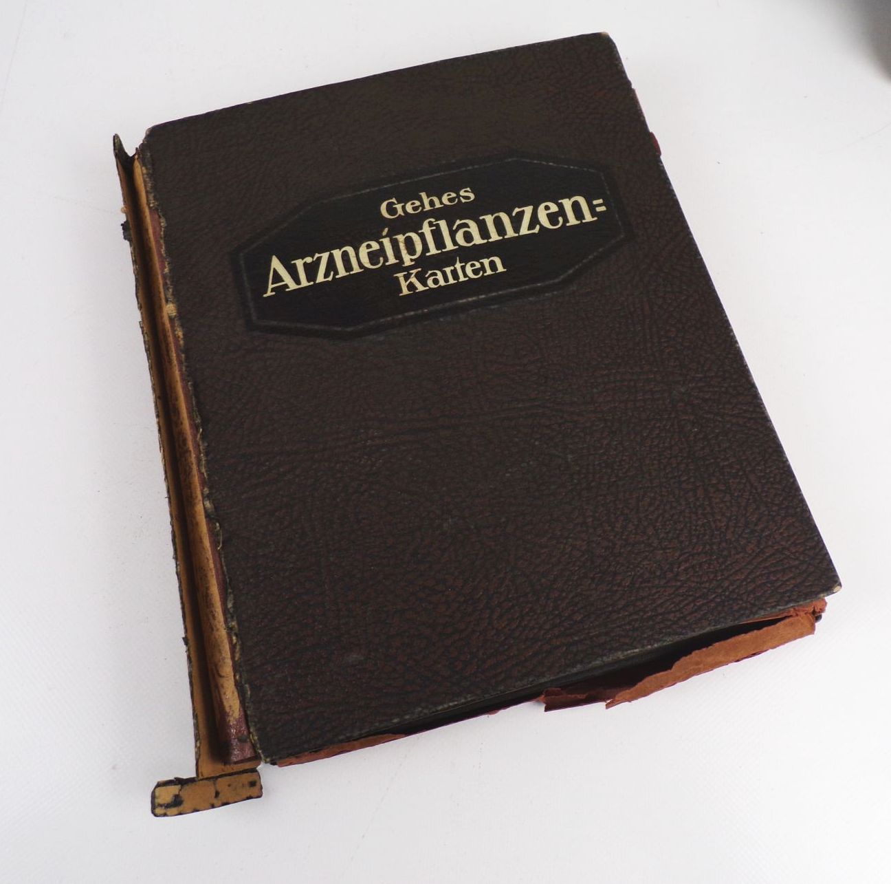 Gehes Arzneipflanzen Karten Heilkräuter Nachschlagewerk 4 x Bildermappe Gehes Arzneipflanzen Karten Heilkräuter Nachschlagewerk 4 x Bildermappe