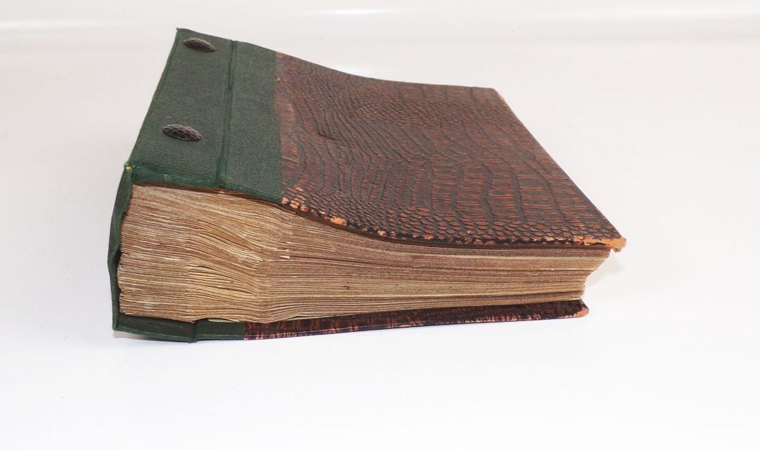 Unsere Heilpflanzen in Bild und Wort für jedermann Richard Schimpfky