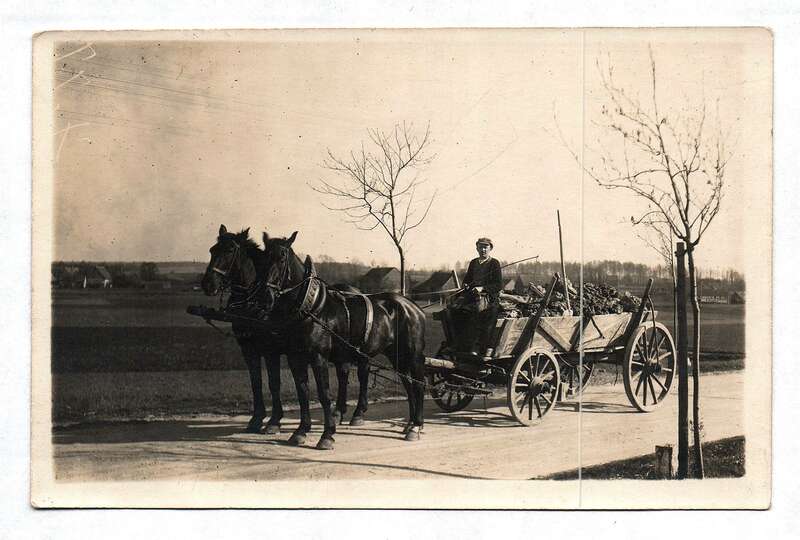 Foto Kutscher altes Bild Mann mit Kutsche und Pferden am Feld