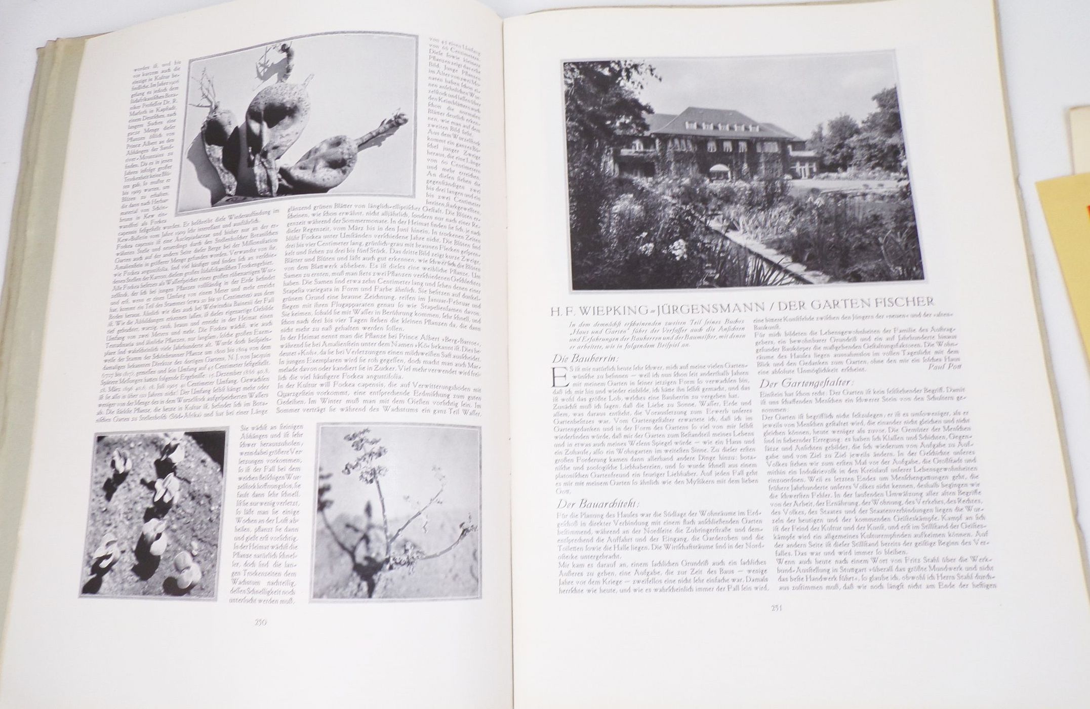 Gartenschönheit Zeitschrift Konvolut Reklame Beilagen Gärtner Blumen Hefte