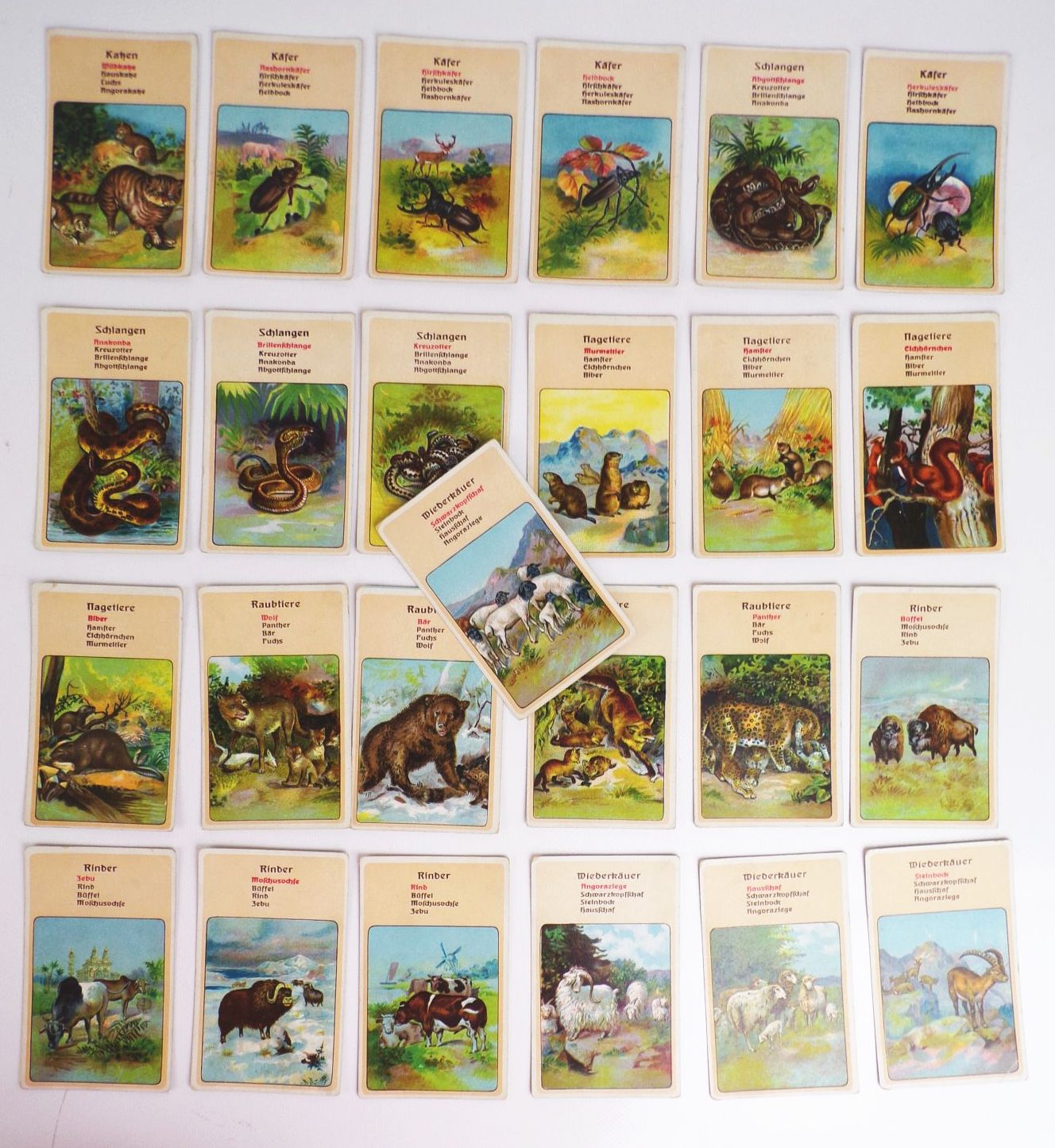 Tier Quartett Spear und Söhne Nürnberg Kartenspiel um 1910