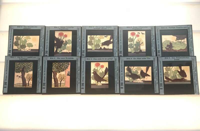 Dias alte Lehrmittel Sowjetunion Deutschland Glasdias