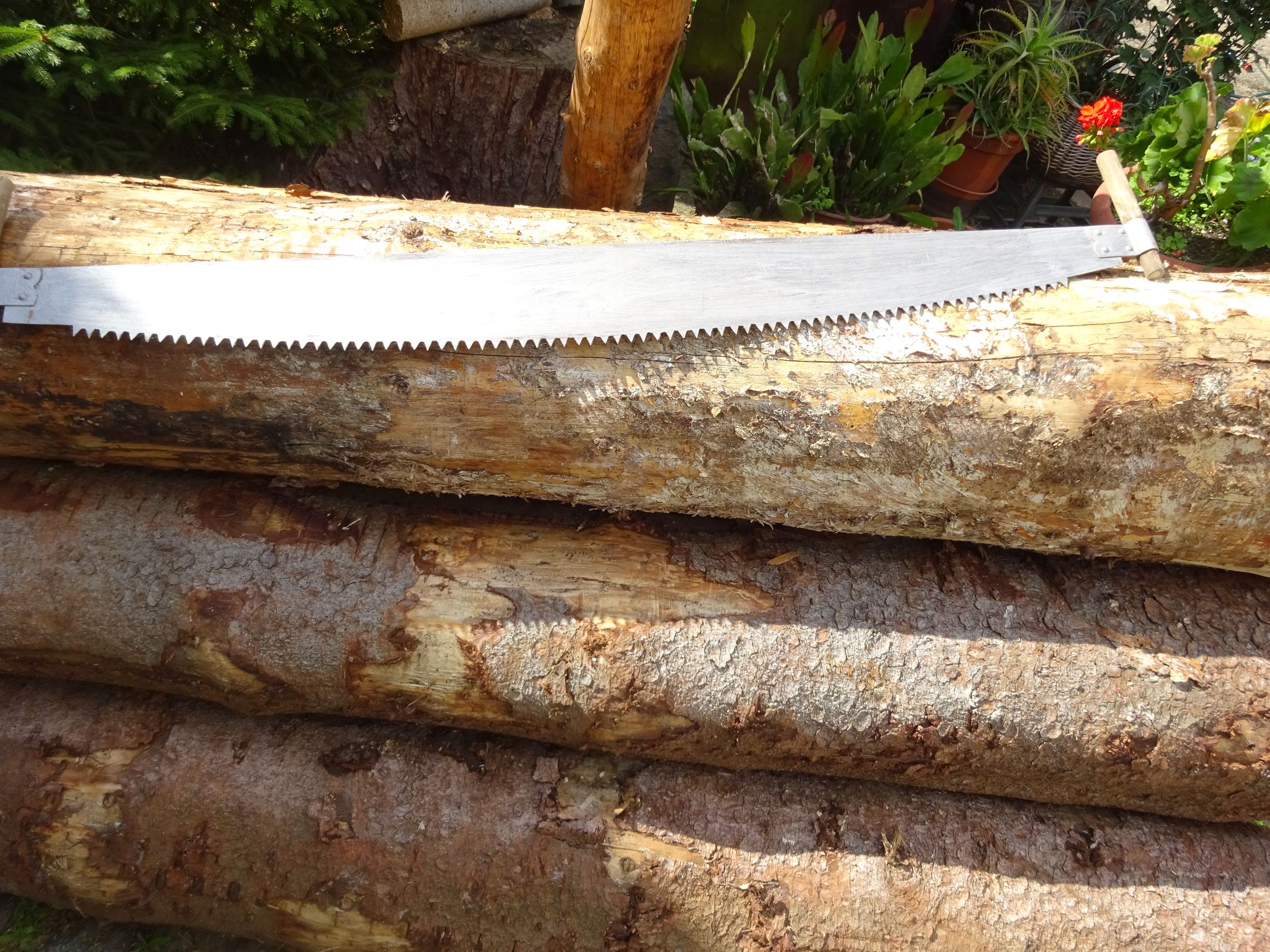 Alte Schrotsäge Hochzeitssäge 129 cm Zweimannsäge Deko Hochzeit Alte Schrotsäge Hochzeitssäge 129 cm Zweimannsäge Deko Hochzeit