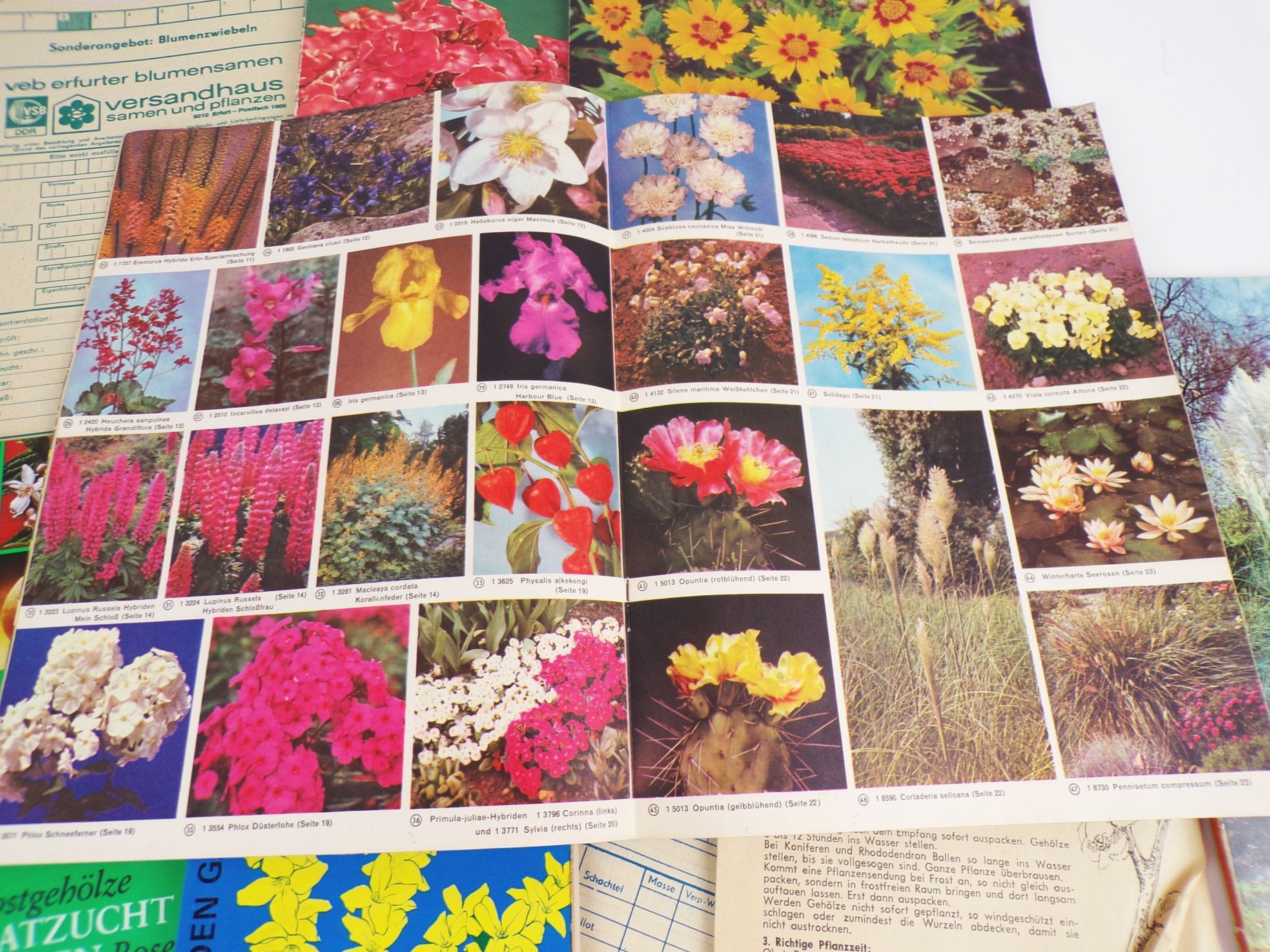 Konvolut DDR Gärtner Kataloge Broschüren Stauden Saatgut Sträucher Konvolut DDR Gärtner Kataloge Broschüren Stauden Saatgut Sträucher