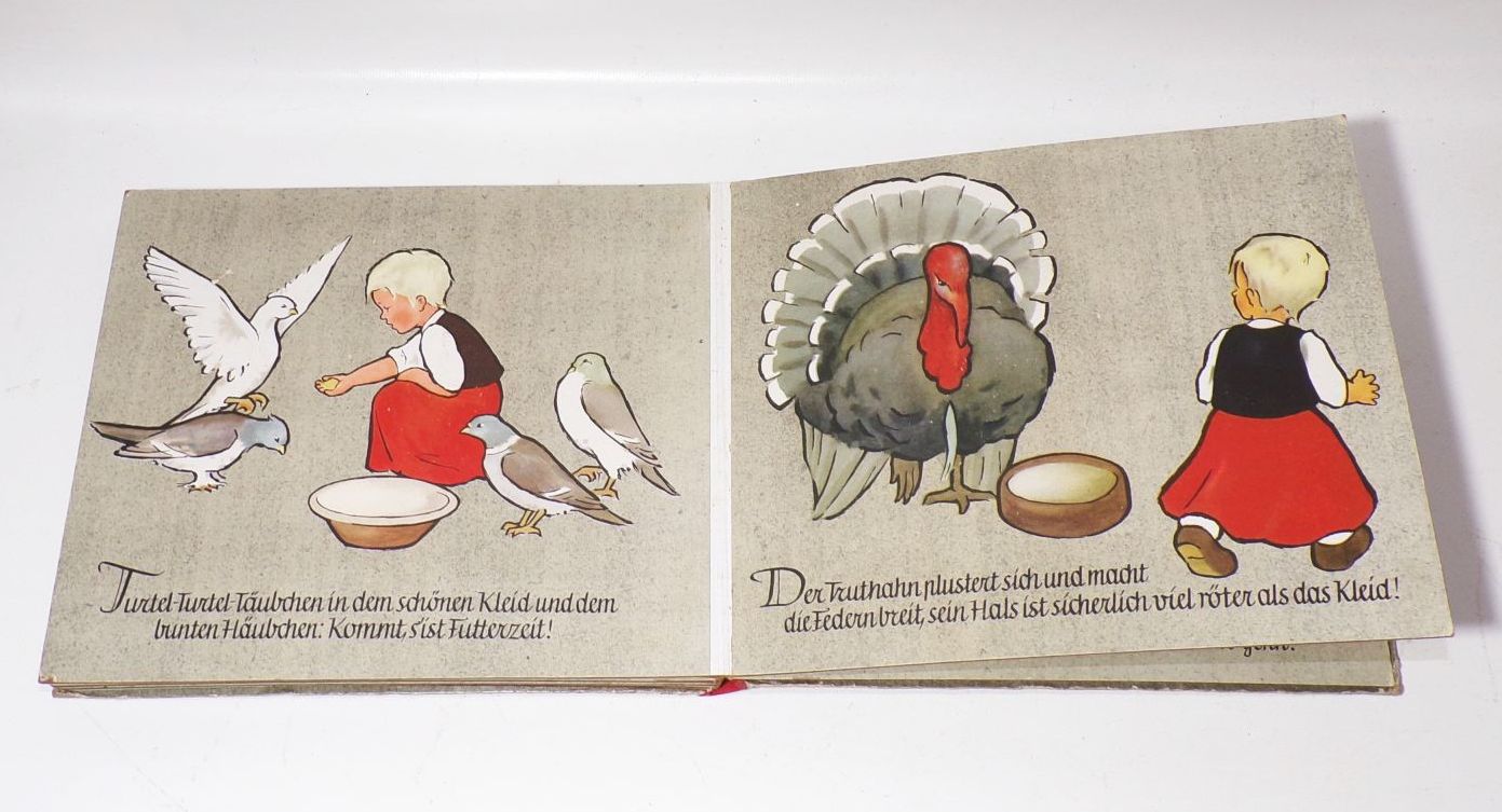 Im Hühnerhof Ein Bilderbuch von Hiltrud und Joachim Kölbel Tiere Kinder Buch